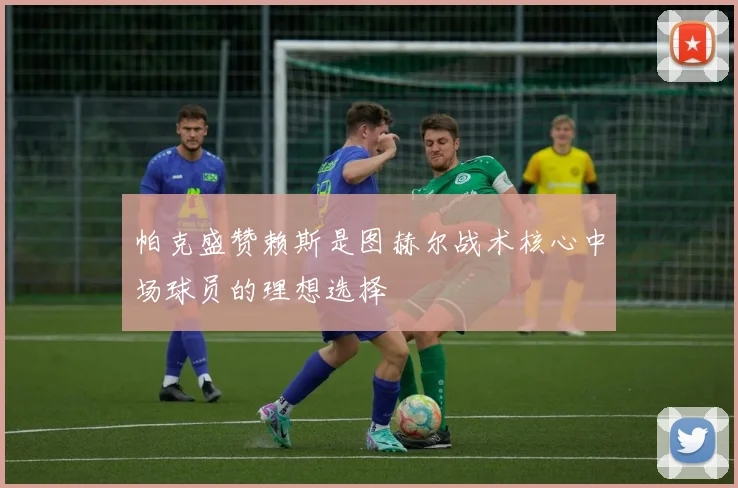 帕克盛赞赖斯是图赫尔战术核心中场球员的理想选择