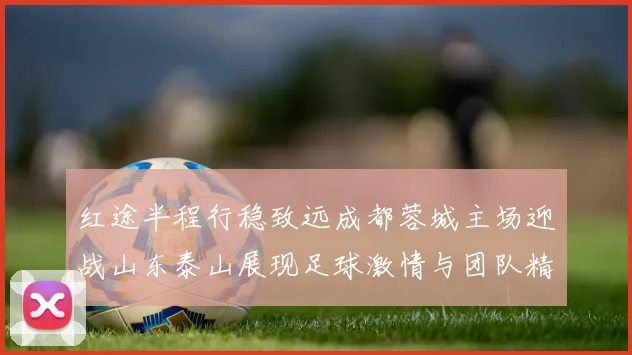 红途半程行稳致远成都蓉城主场迎战山东泰山展现足球激情与团队精神